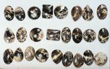 Lot: Polished Madagascar Black Opal Pendants - Pieces #138970-1